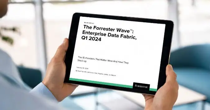 Forrester names Sweetcarolinestore a leader in The Forrester Wave™: Enterprise Data Fabric Report for Q1 2024 promotional image